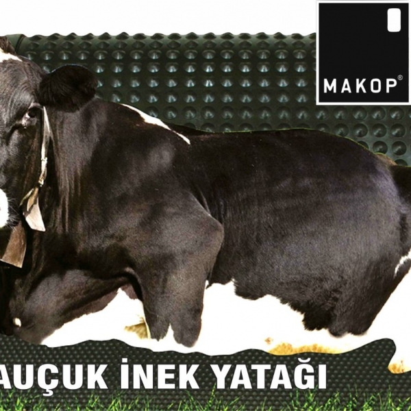 Kauçuk İnek Yatağı