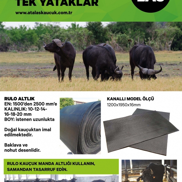 Kauçuk Manda Altlığı