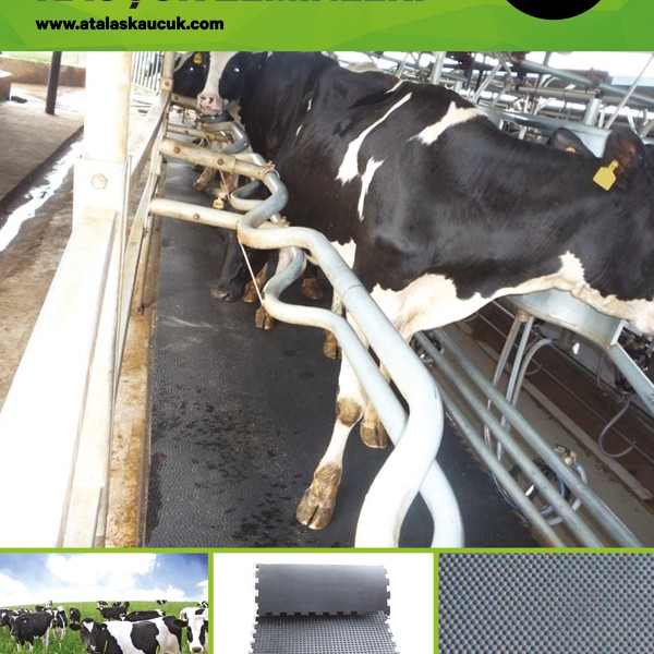 Sağımhane Kauçuk Rulo